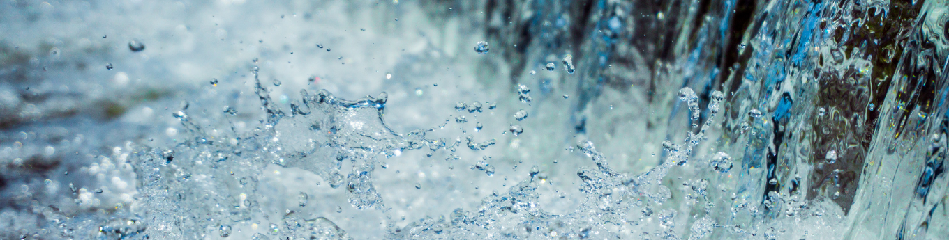 Acqua
